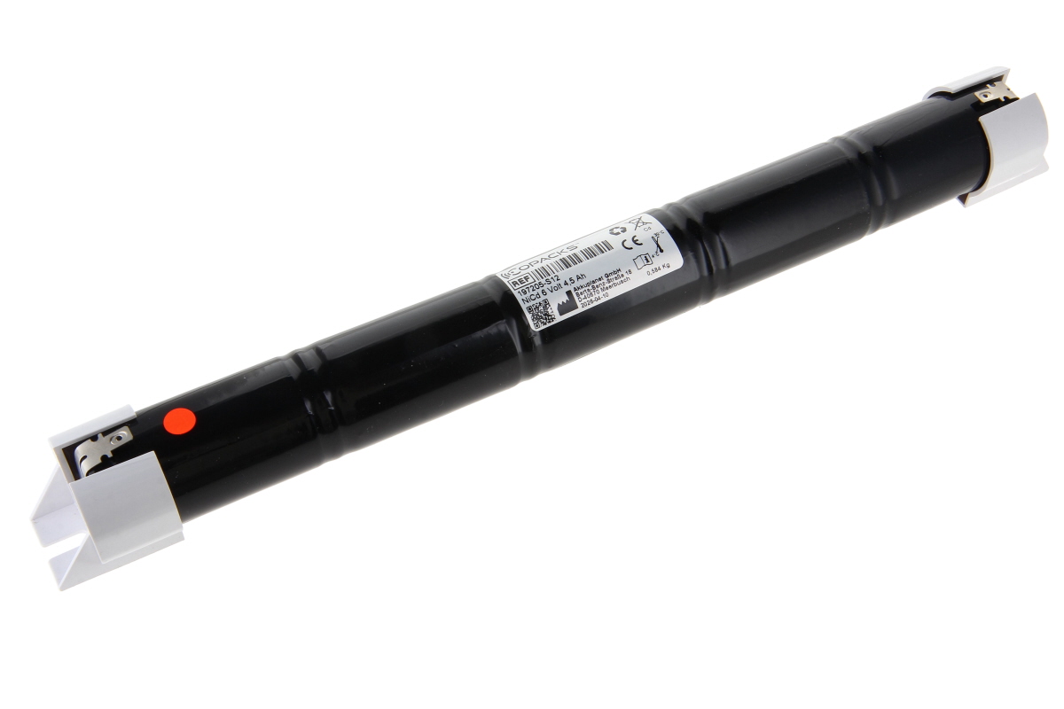 CoPacks NC battery pack emergency light - D-Size